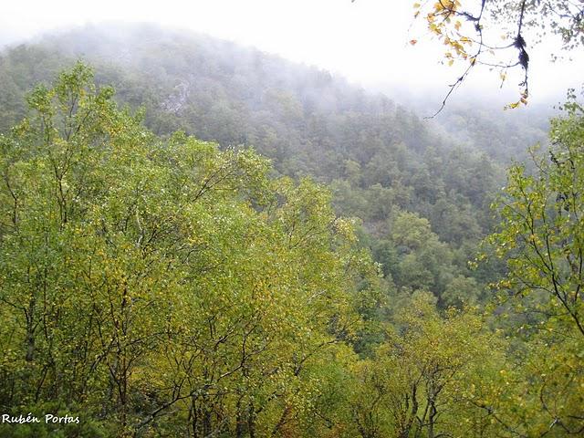 Sobre nuestros hábitats