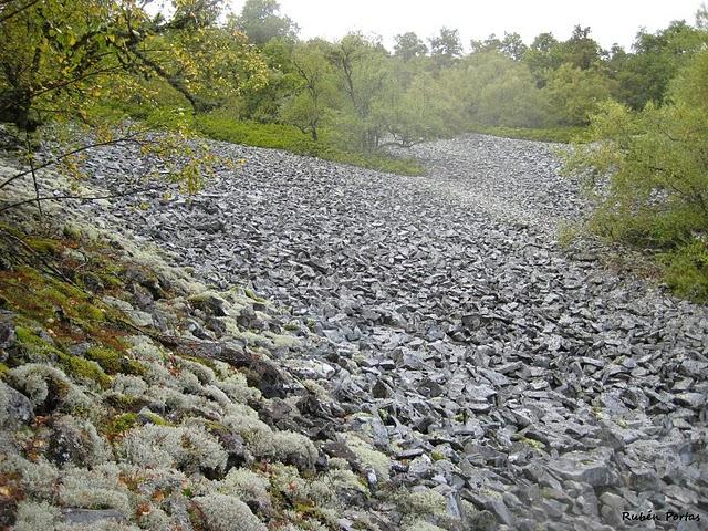 Sobre nuestros hábitats