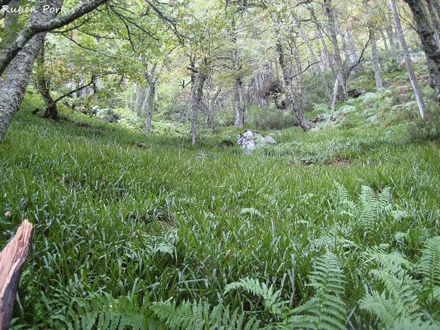 Sobre nuestros hábitats