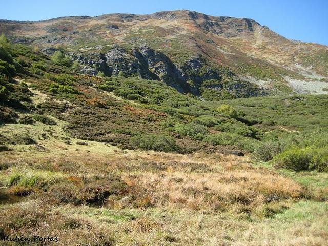 Sobre nuestros hábitats