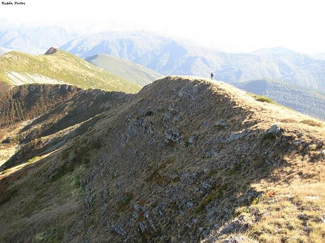 Sobre nuestros hábitats