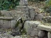 Torrent Cabana: Ruta Gorgs