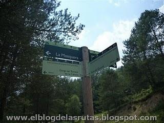 El Torrent de la Cabana - Ruta el 7 Gorgs (Campdevànol)