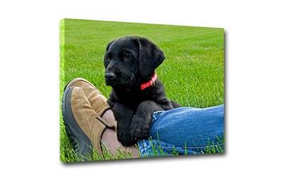 DECORACIÓN: Hola Lienzo