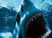 Shark night