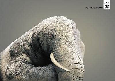 Guido Daniele: manos pintadas