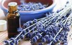 Ataque insomnio lavanda