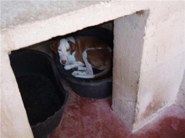 Novedades en el caso de Plata