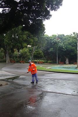 Barriendo la calle con palmeras