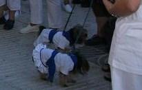 Para unos diversión, para otros un horror....