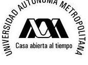 Becas para maestrías doctorados México 2010