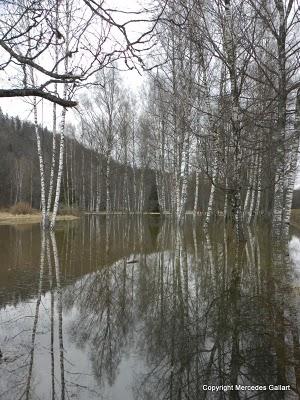 LETONIA: EL PARQUE NACIONAL DE GAUJA