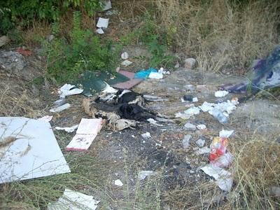 TERRIBLE HALLAZGO EN EL PLENO CENTRO DE MADRID