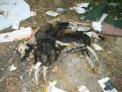 TERRIBLE HALLAZGO EN EL PLENO CENTRO DE MADRID