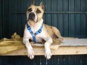 Tano puede más, necesita ayuda.