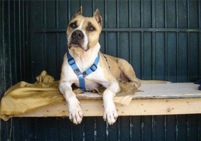 Tano no puede más, necesita ayuda.