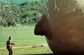 TODO LO QUE SIEMPRE QUISO SABER SOBRE EL SEXO...