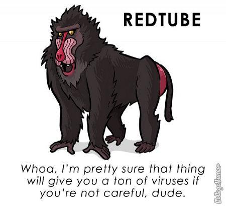 Si los Sitios Webs fueran Animales [Humor]