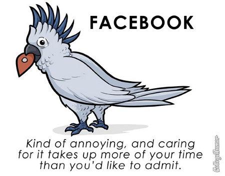 Si los Sitios Webs fueran Animales [Humor]