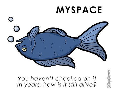 Si los Sitios Webs fueran Animales [Humor]