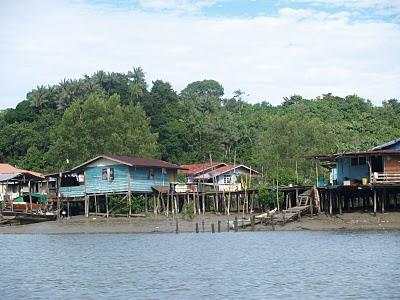 Semenggoh y Parque Nacional de Bako