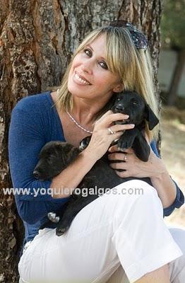 MIRIAM DÍAZ AROCA - Galgos MIRIAM DÍAZ AROCA - Galgos