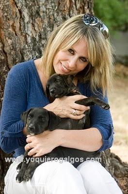 MIRIAM DÍAZ AROCA - Galgos MIRIAM DÍAZ AROCA - Galgos