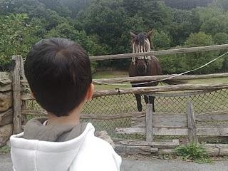 Palabrejas en el campo