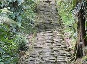 Busca Ciudad Perdida