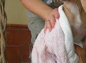 cachorros Kelly siguen familia