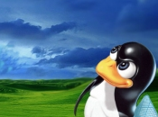 Pasar Linux Windows