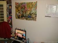 La redacción 作文de mi vida