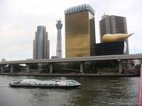 Muchas excursiones y desgracias By Razi