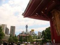 Muchas excursiones y desgracias By Razi