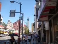 Muchas excursiones y desgracias By Razi