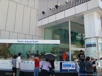 Muchas excursiones y desgracias By Razi