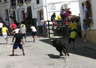CARCABUEY ULTIMA LOS PREPARATIVOS DEL TORO DE CUERDA DE LA VIRGEN DEL CASTILLO