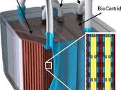 primer prototipo riñón artificial implantable