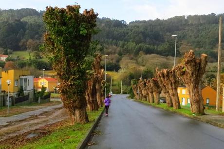 Ferrol running (Capítulo 4) De Mugardos a Chanterio y vuelta por Montefaro