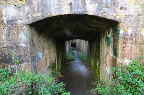 Ferrol running (Capítulo 4) De Mugardos a Chanterio y vuelta por Montefaro