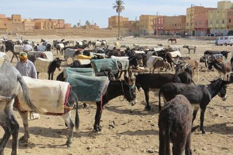 Desert Run 2013 (5 de 5): Epílogo