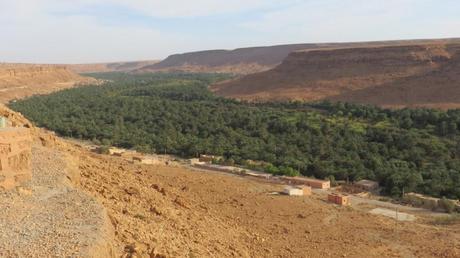 Desert Run 2013 (5 de 5): Epílogo