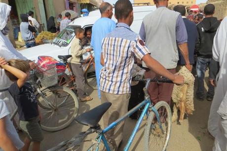 Desert Run 2013 (5 de 5): Epílogo