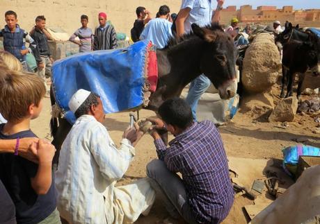 Desert Run 2013 (5 de 5): Epílogo