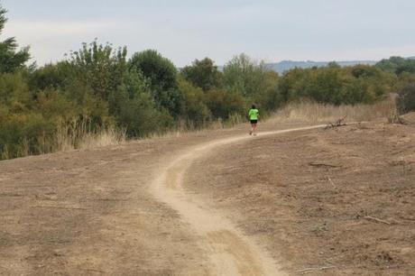 Correr en Rivas (Capítulo 3): Por la rivera del Jarama hasta Velilla