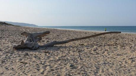 Zahara running (capítulo 1) – Correr por la playa