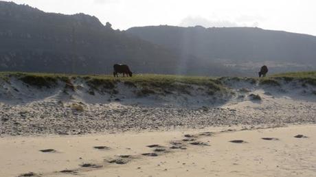 Zahara running (capítulo 1) – Correr por la playa