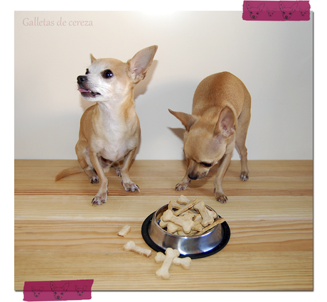 Galletas para perro (de plátano)