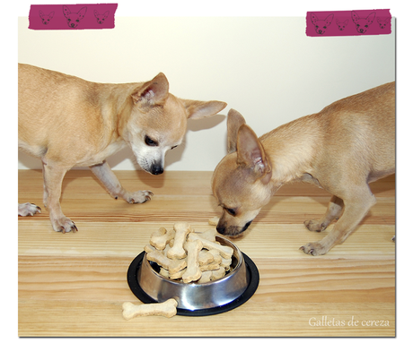 Galletas para perro (de plátano)