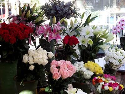 Discovering the center of Valencia